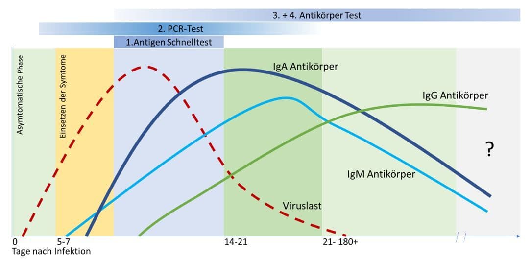 Grafik 1