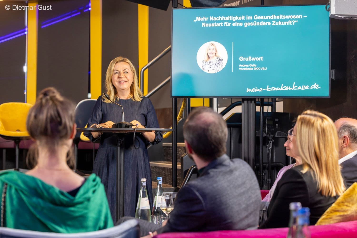 Einleitende Worte zum Thema Nachhaltigkeit im Gesundheitswesen von Andrea Galle (BKK VBU) beim parlamentarischen Abend.