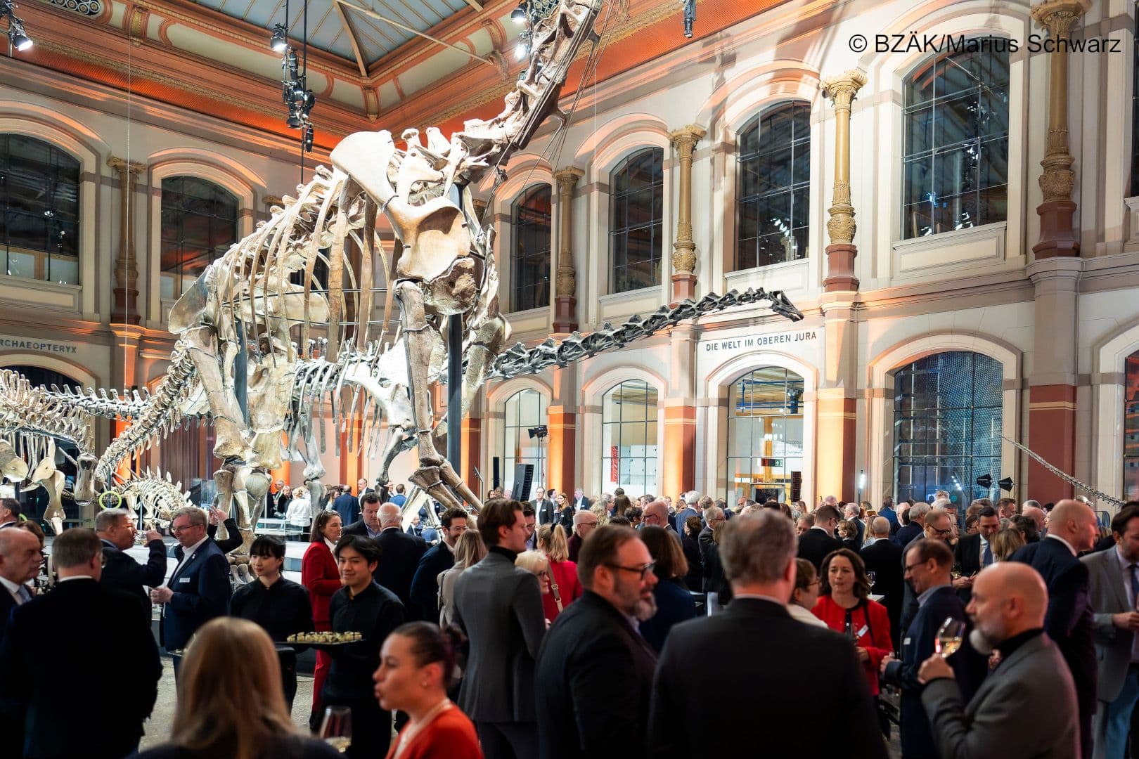Der Dinosaurier im Naturkundemuseum wacht über die Gäste des Neujahrsempfangs der BZÄK.