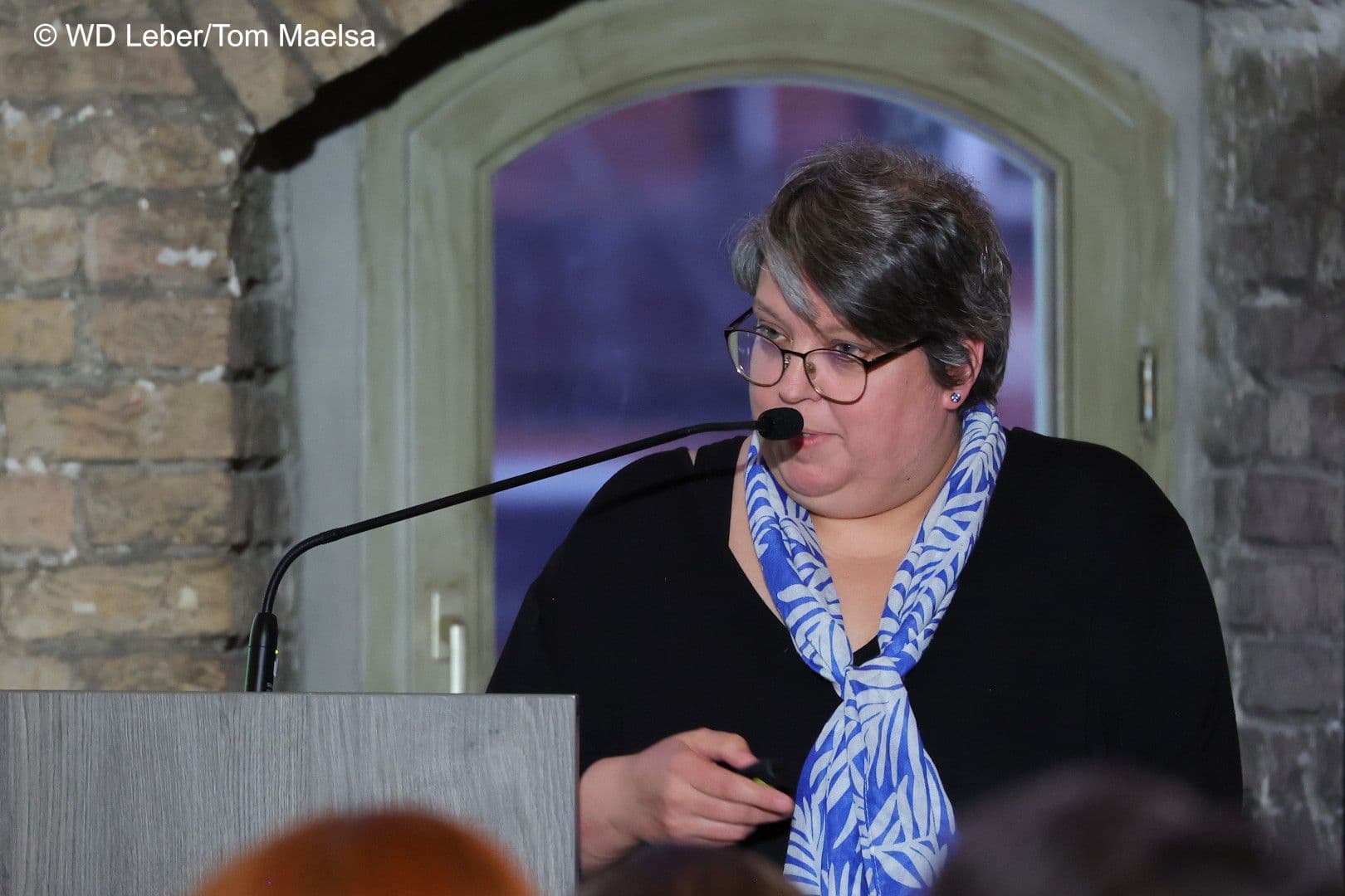 Simone Frede (GKV-SV) spricht als Archäologin über Mauerruinen und mehr.
